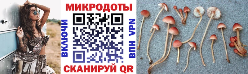 KRAKEN онион  сколько стоит  Нахабино  Галлюциногенные грибы MAGIC MUSHROOMS 